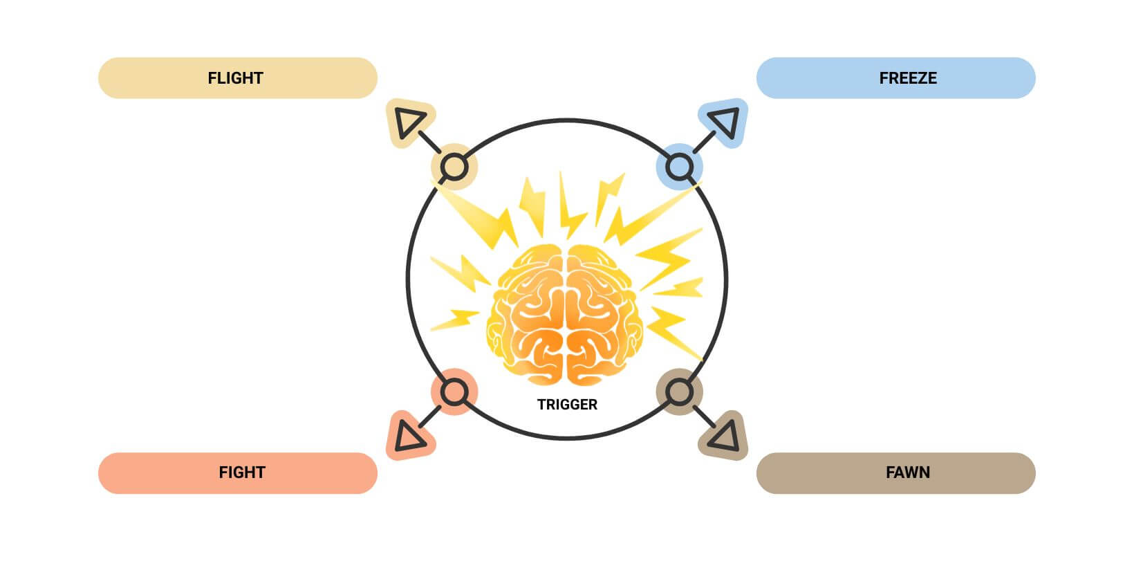 infographic representing the brain's trauma response as fight, flight, freeze, or fawn
